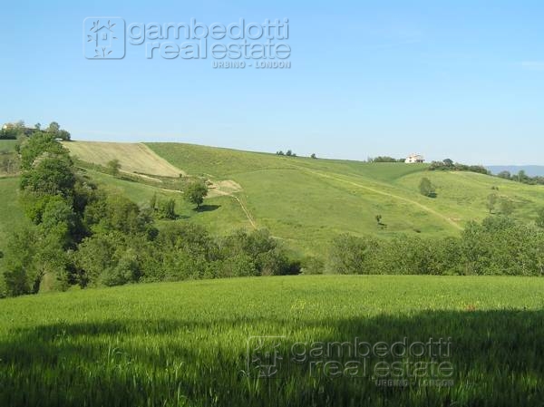 Rustico - Cascina BARCHI vendita    Gambedotti Real Estate