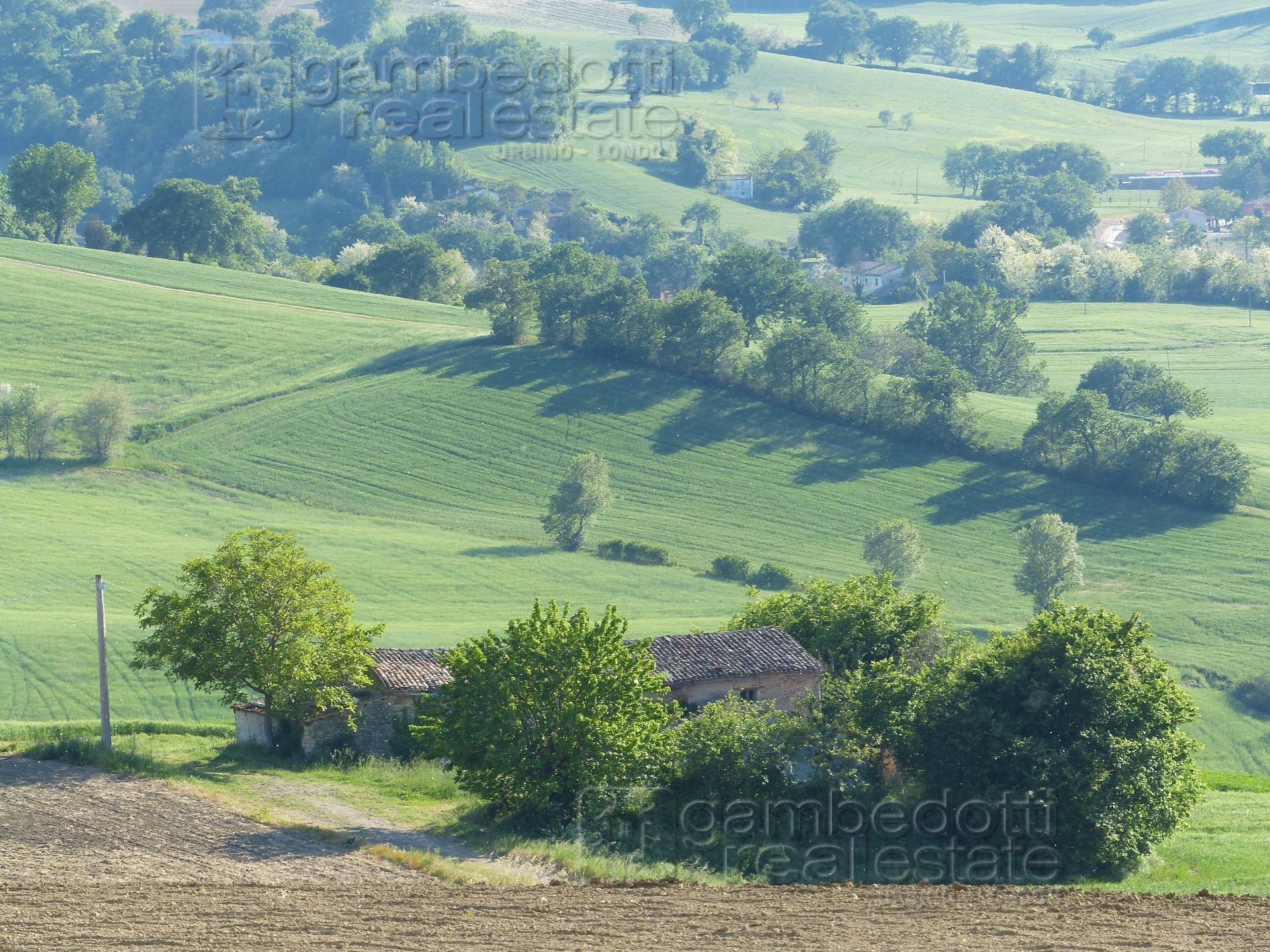 Rustico - Cascina FOSSOMBRONE vendita    Gambedotti Real Estate