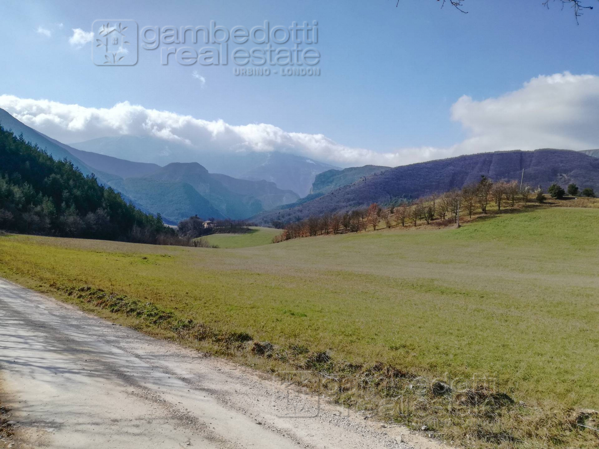 Rustico - Cascina CAGLI vendita  Abbadia di Naro  Gambedotti Real Estate