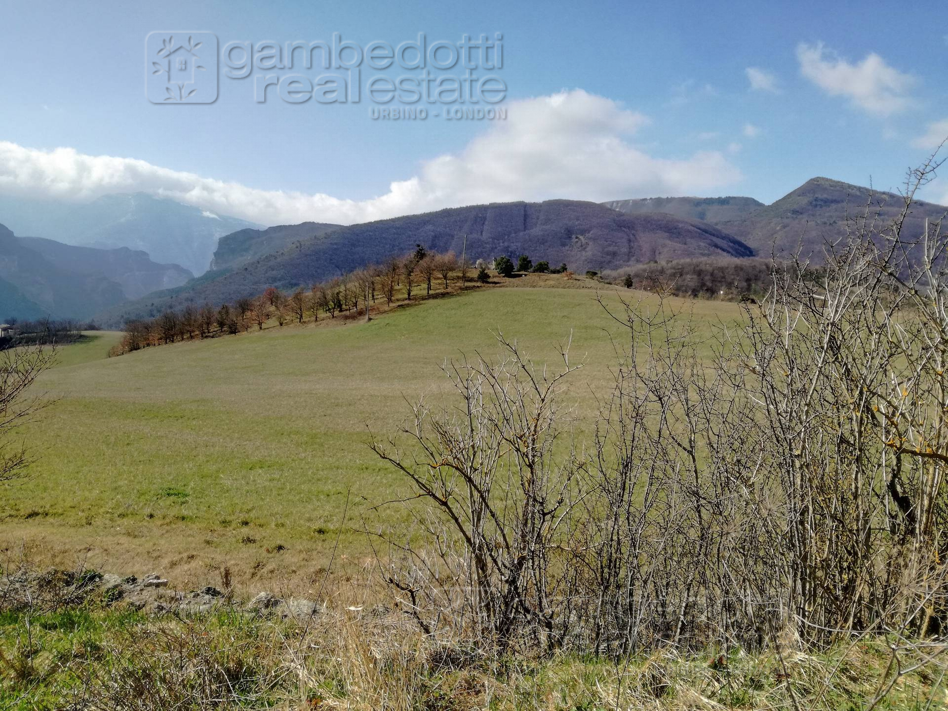 Rustico - Cascina CAGLI vendita  Abbadia di Naro  Gambedotti Real Estate