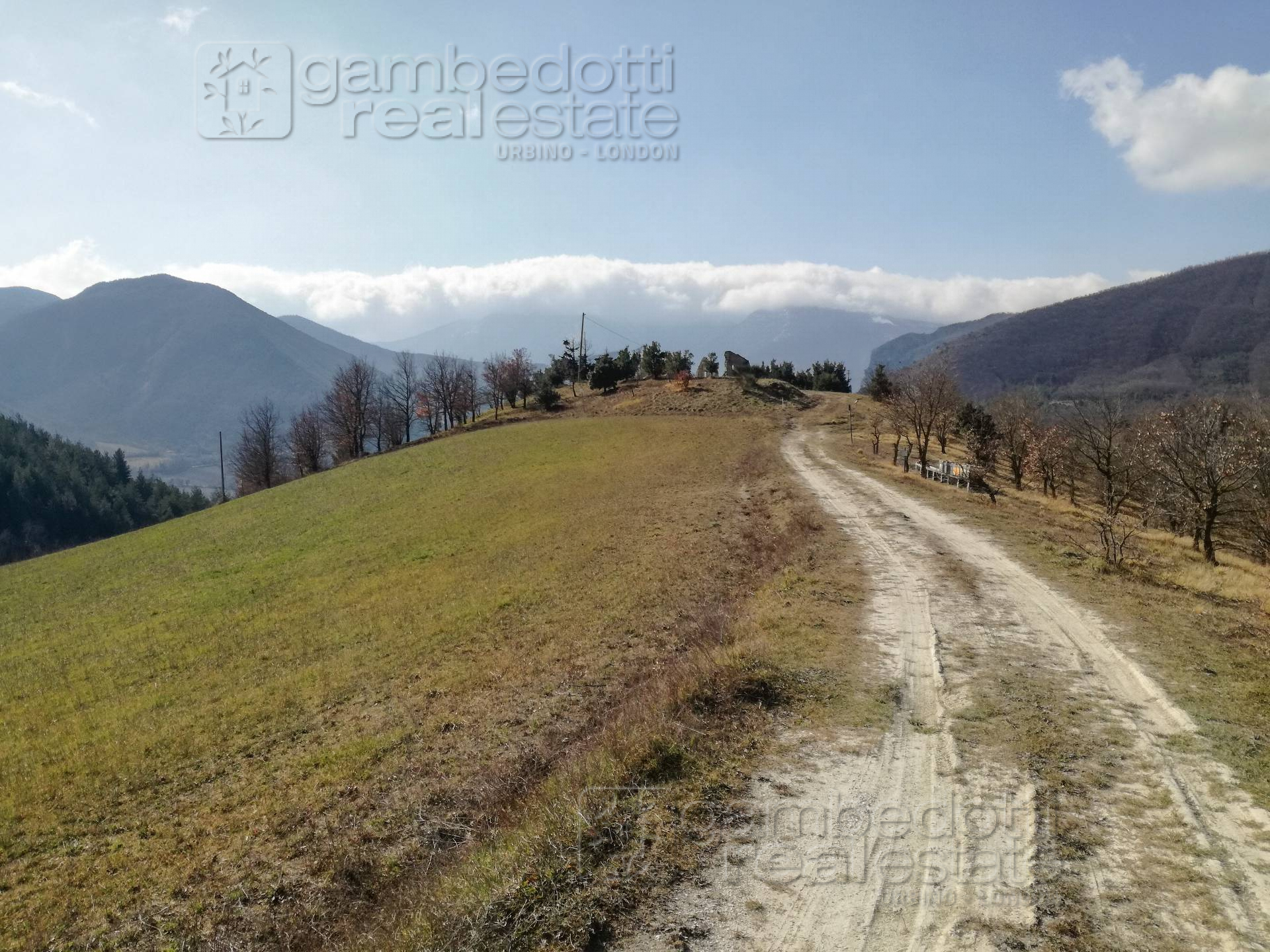 Rustico - Cascina CAGLI vendita  Abbadia di Naro  Gambedotti Real Estate