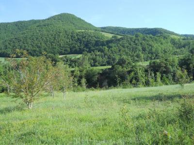 Terreno edificabile in vendita a Acqualagna (PU)