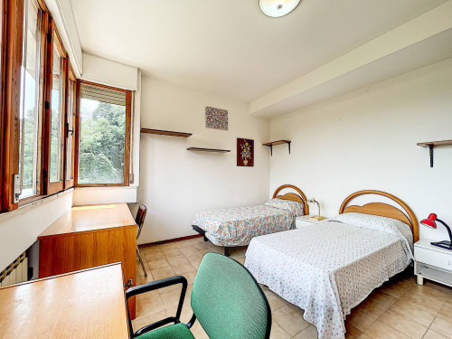 Appartamento in affitto a Urbino (PU)