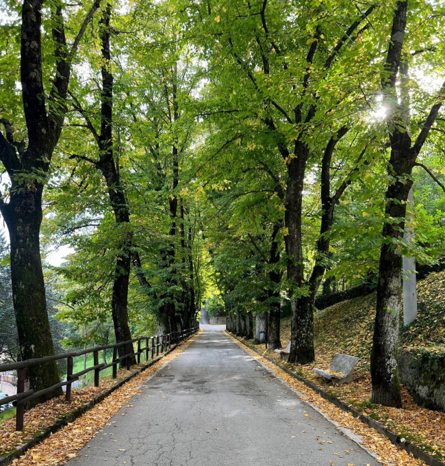 Casa indipendente in vendita a Apecchio (PU)