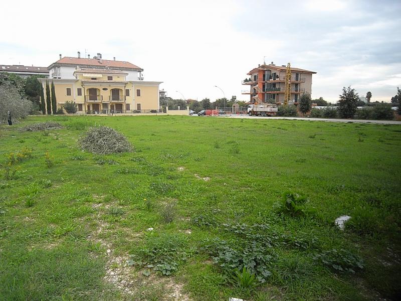 Appartamento GROTTAMMARE vendita  zona stadio-via cilea-ex sugo  Immobiliare Gali? - De Angelis