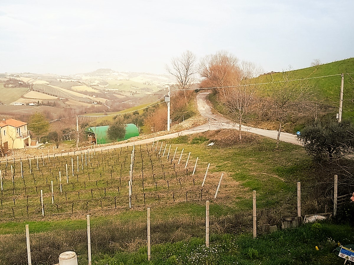 Rustico - Cascina CARASSAI vendita    Immobiliare Gali? - De Angelis