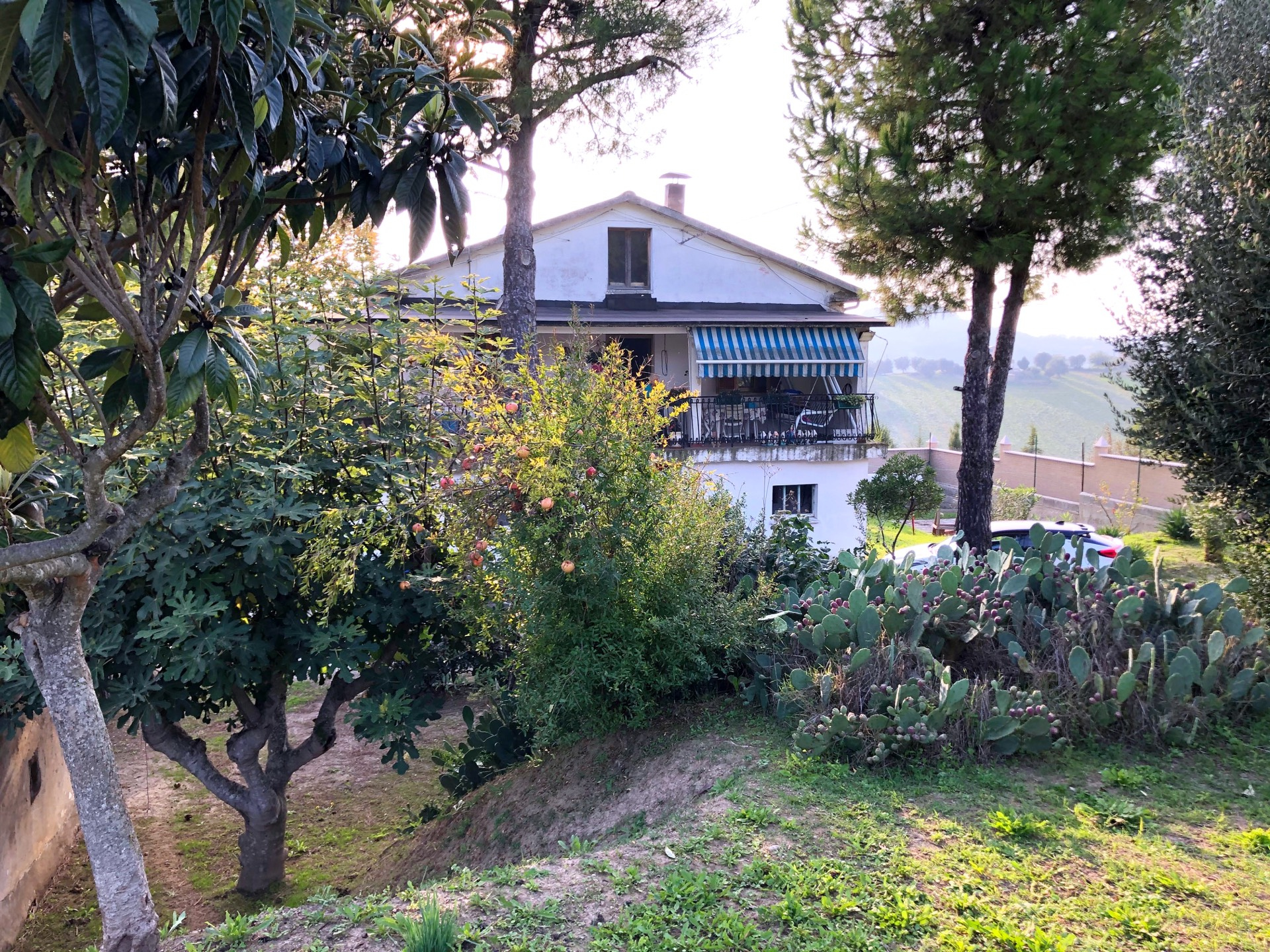 Rustico - Cascina MONTEPRANDONE vendita    Immobiliare Gali? - De Angelis