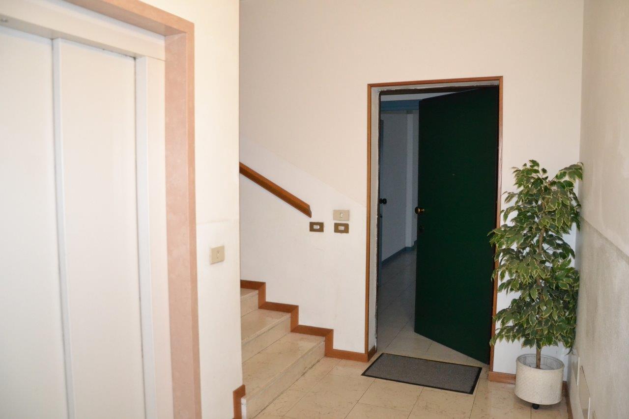  padova affitto quart: camin polis-snc