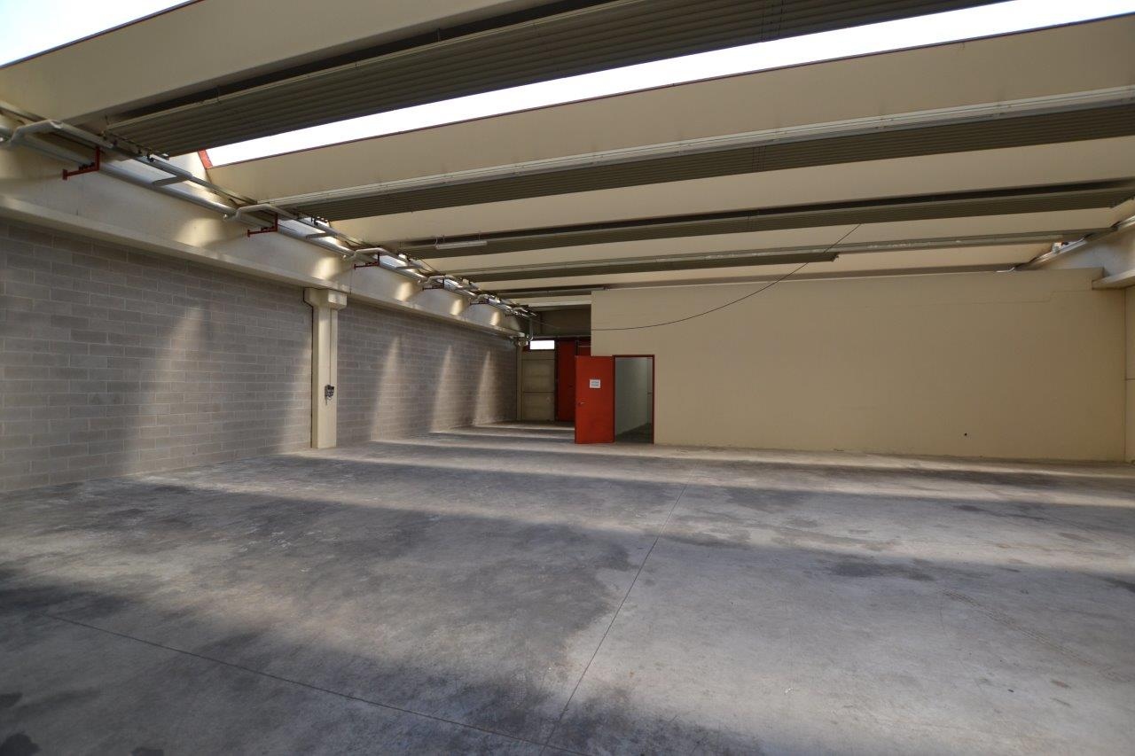 Capannone Commerciale PADOVA affitto  ZONA INDUSTRIALE-EST  POLIS SNC