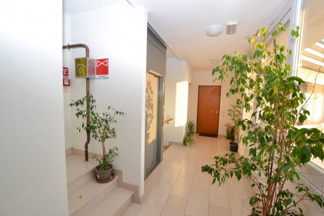 Appartamento in Affitto  <br/>a Padova
