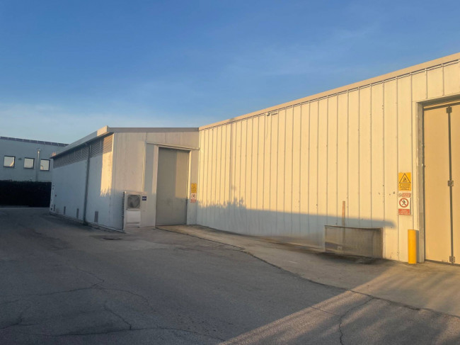 Capannone in Vendita a Limena