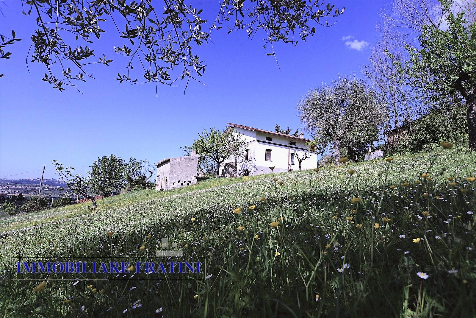 Villa Unifamiliare - Indipendente ANCARANO vendita    IMMOBILIARE FRATINI