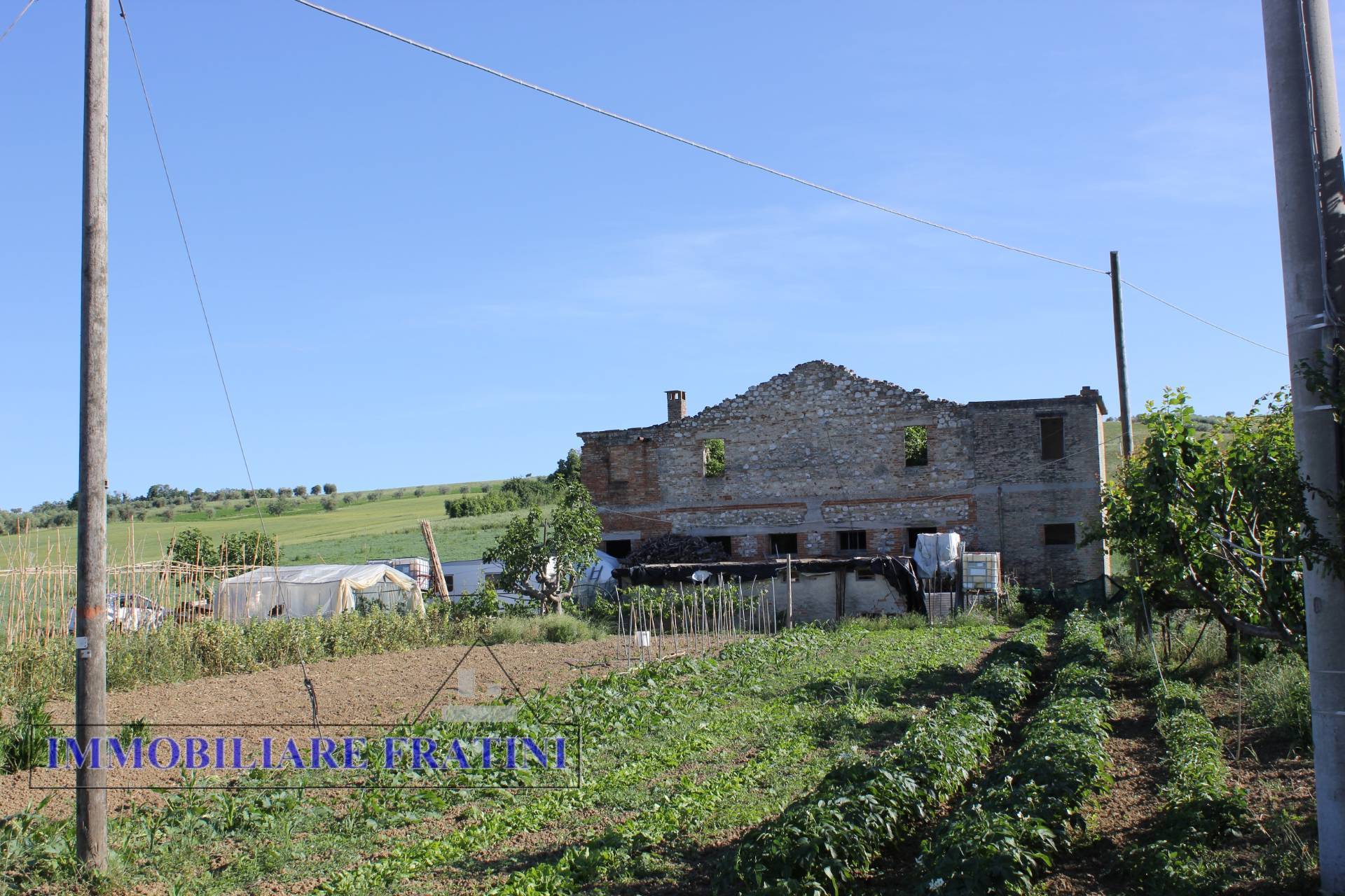 Rustico - Cascina FOLIGNANO vendita    IMMOBILIARE FRATINI