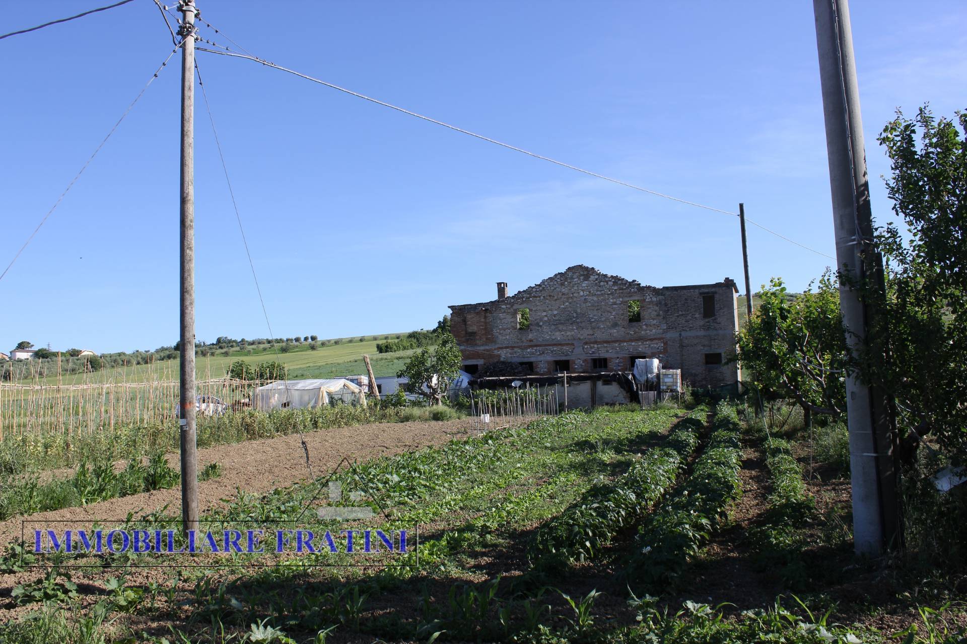 Rustico - Cascina FOLIGNANO vendita    IMMOBILIARE FRATINI