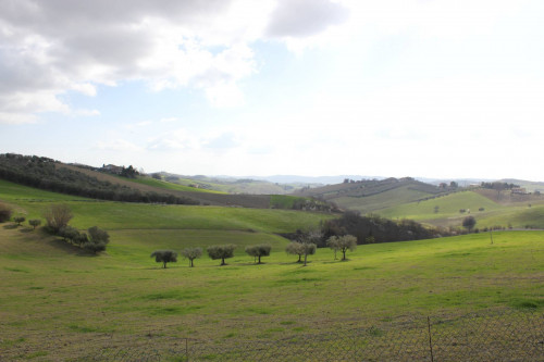Terreno agricolo in vendita a Castel Di Lama (AP)