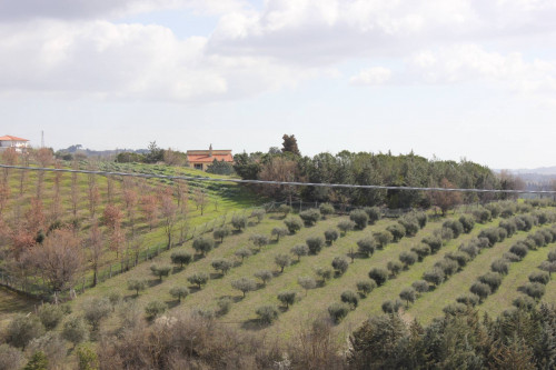 Terreno agricolo in vendita a Castel Di Lama (AP)