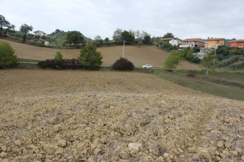 Terreno Agricolo