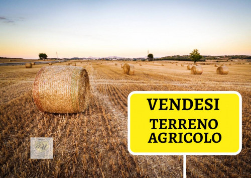 Terreno Agricolo a Premariacco