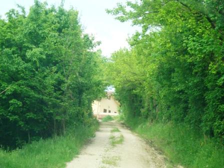 Rustico - Cascina COSSIGNANO vendita  Collinare  Melloni Agenzia1