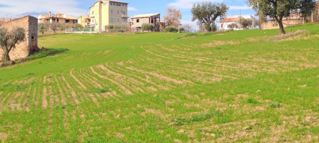 Terreno edificabile in vendita a Massignano (AP)