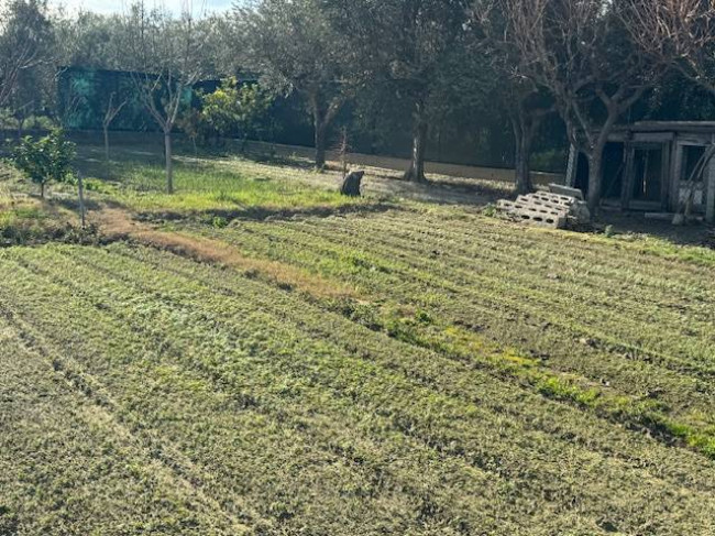 Terreno agricolo in vendita a Porto D'ascoli, San Benedetto Del Tronto (AP)