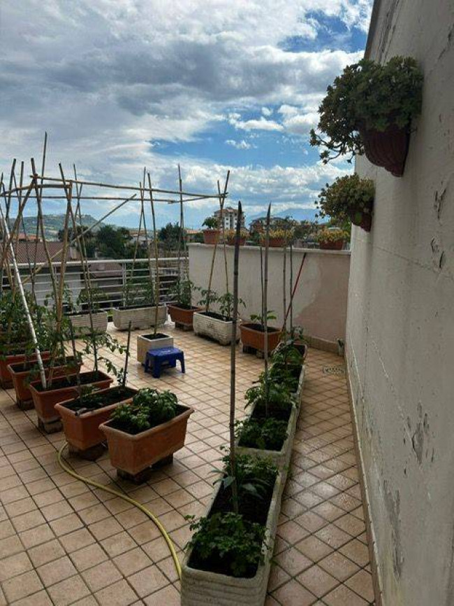 Appartamento in vendita a Montefiore dell'Aso