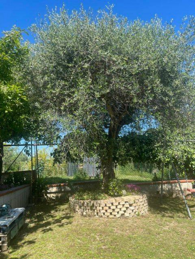 Villetta a schiera / Bifamiliare in vendita a Acquaviva Picena