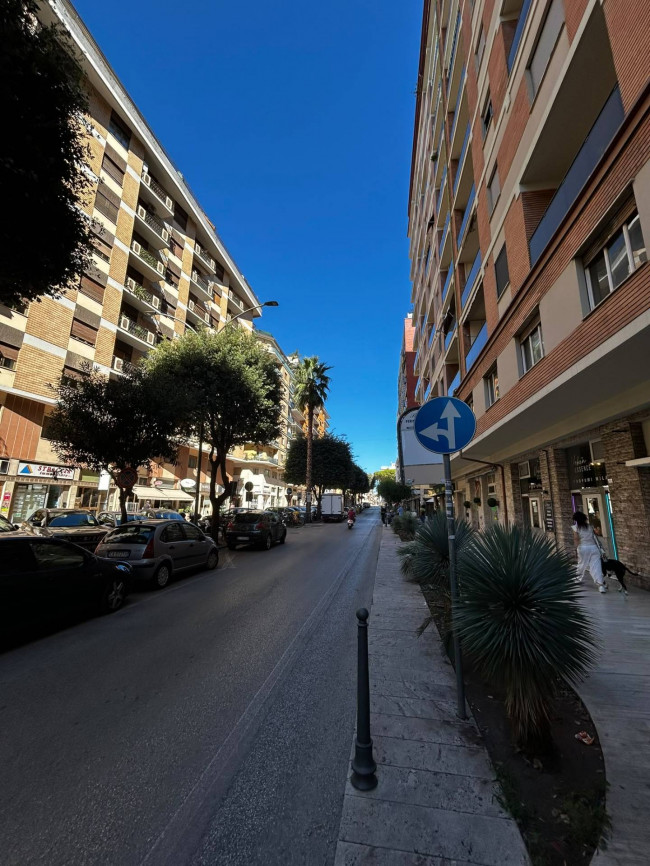 Appartamento in affitto a San Benedetto del Tronto