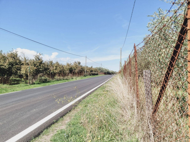 Terreno agricolo in vendita a Gallese (VT)