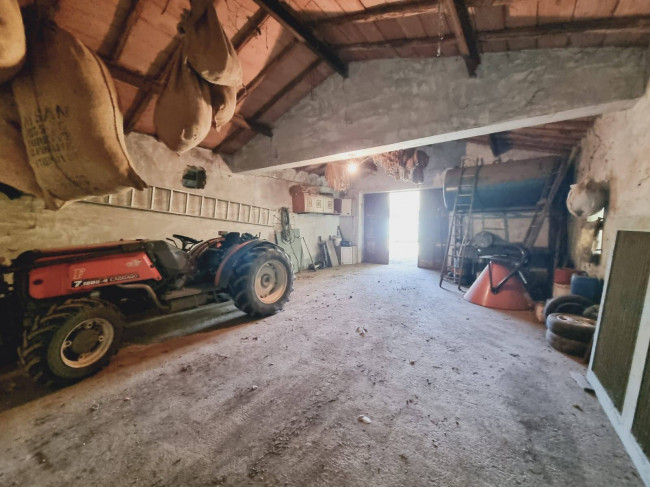 Terreno agricolo in vendita a Gallese (VT)