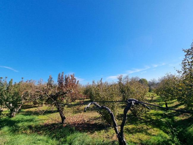 Terreno agricolo in vendita a Gallese (VT)