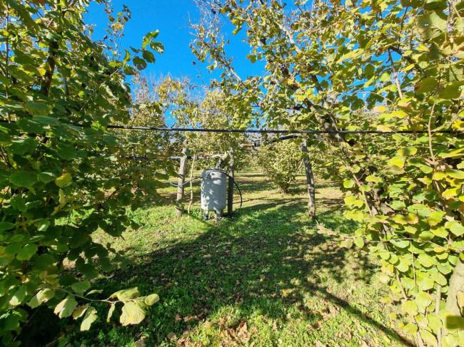 Terreno agricolo in vendita a Gallese (VT)