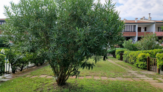 Villette a schiera in vendita a Comacchio