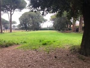 Foto 9/9 per rif. TL2012521-CLB