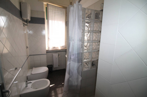 Ingrandisci la foto