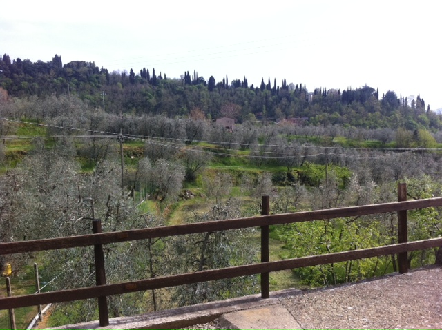 Villa Unifamiliare - Indipendente CASTELFRANCO DI SOPRA vendita  Pulicciano  Valdarno Affari di Pavanello Giampaolo