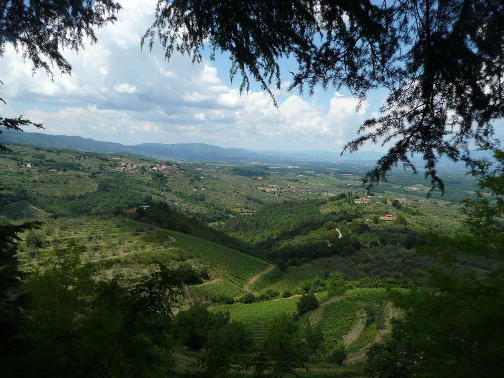  montevarchi vendita quart: moncioni valdarno-affari-di-pavanello-giampaolo