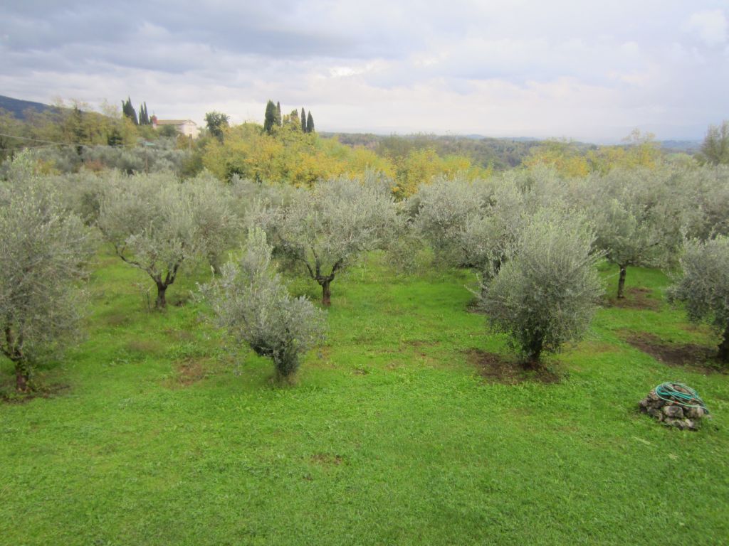 Appartamento PIAN DI SCO vendita  Casabiondo  Valdarno Affari di Pavanello Giampaolo