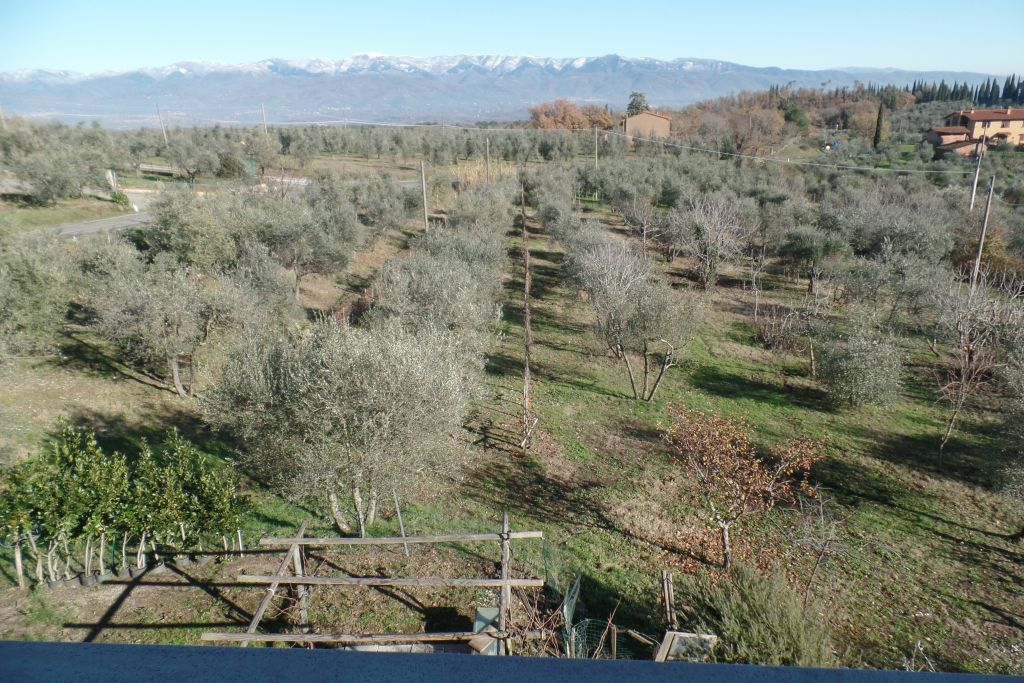  cavriglia vendita quart:  valdarno-affari-di-pavanello-giampaolo