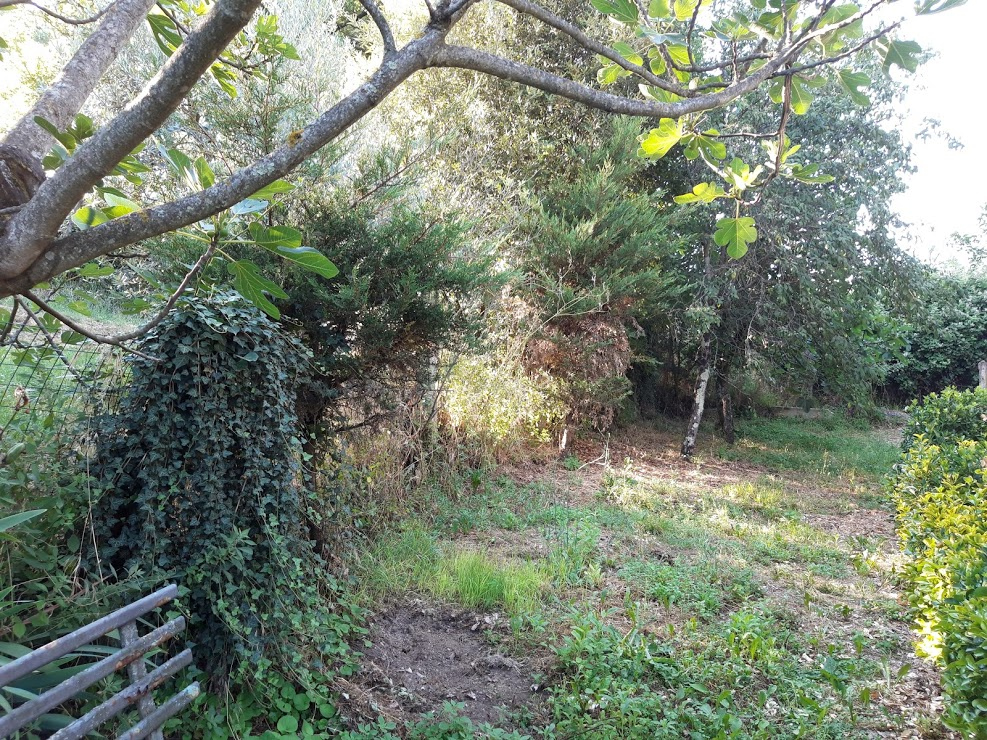 Villa MONTEVARCHI vendita  Mercatale - Torre  Valdarno Affari di Pavanello Giampaolo