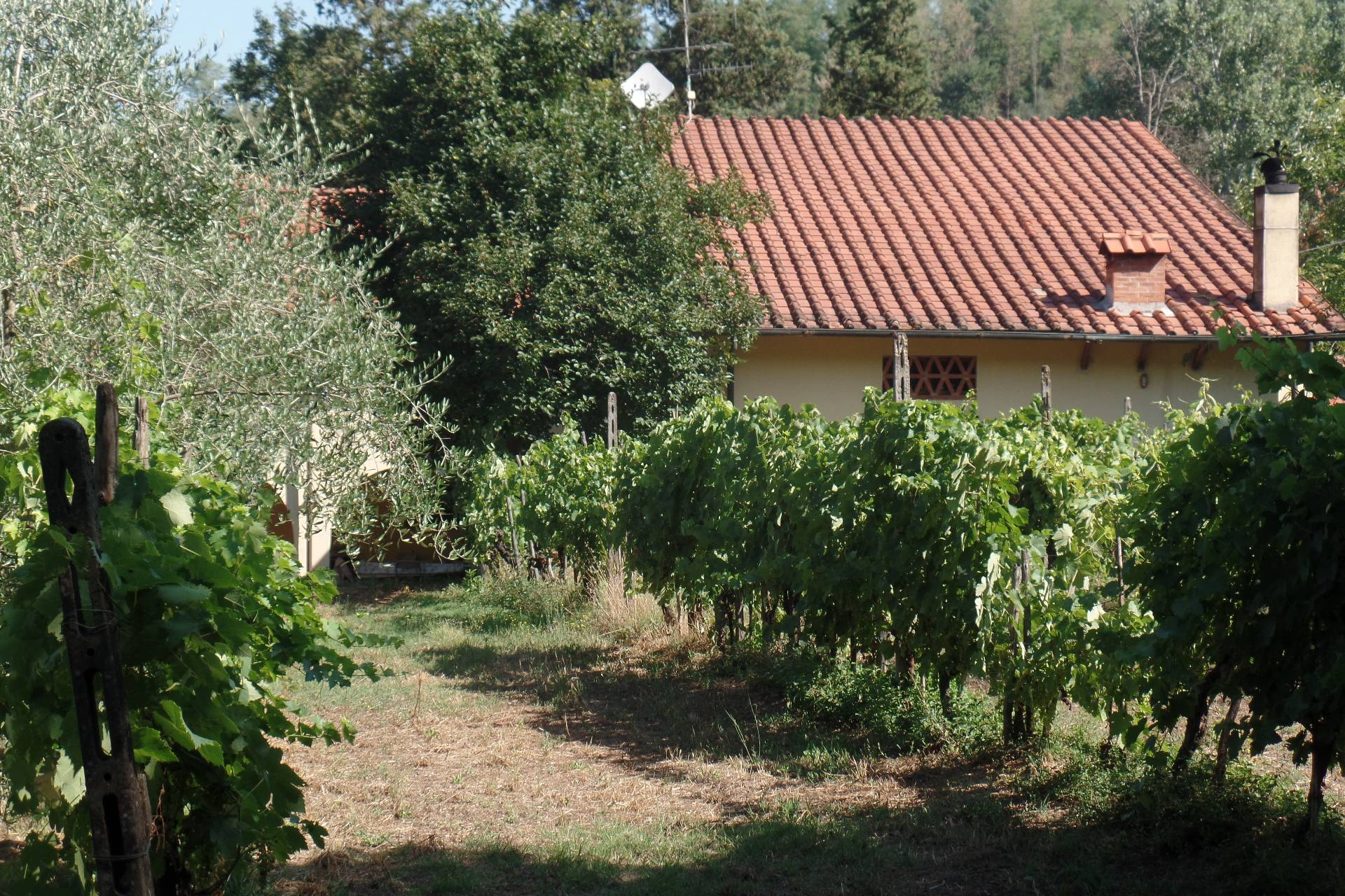 Villa PIAN DI SCO vendita    Valdarno Affari di Pavanello Giampaolo