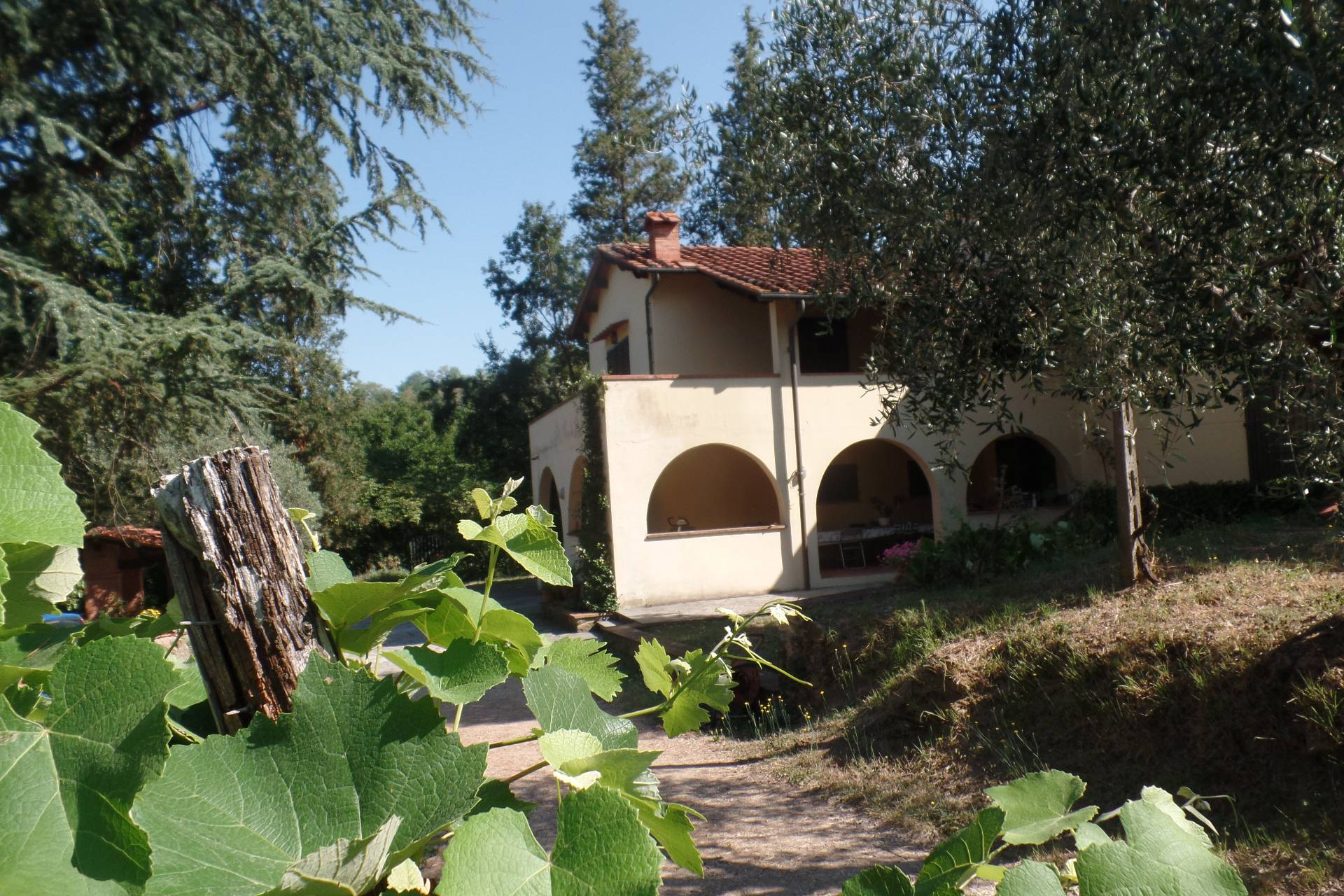 Villa PIAN DI SCO vendita    Valdarno Affari di Pavanello Giampaolo