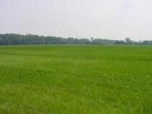 Terreno edificabile in Vendita a Veronella