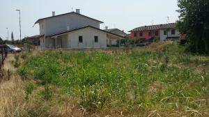 Terreno edificabile in Vendita a Veronella