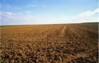 Terreno Agricolo in Vendita a Arcole