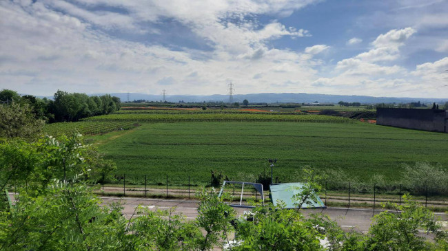 Terreno Agricolo in vendita a San Bonifacio
