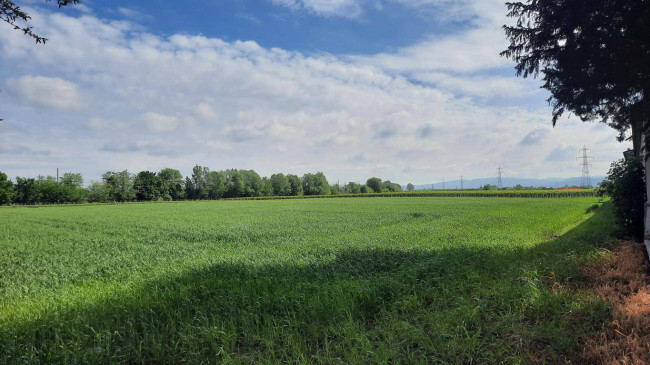 Terreno Agricolo in vendita a San Bonifacio