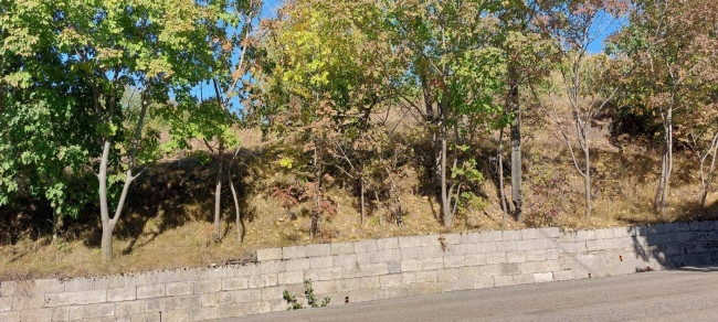 Terreno agricolo in vendita a Vestenanova (VR)