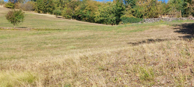 Terreno agricolo in vendita a Vestenanova (VR)