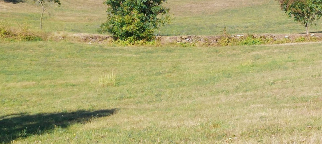 Terreno agricolo in vendita a Vestenanova (VR)